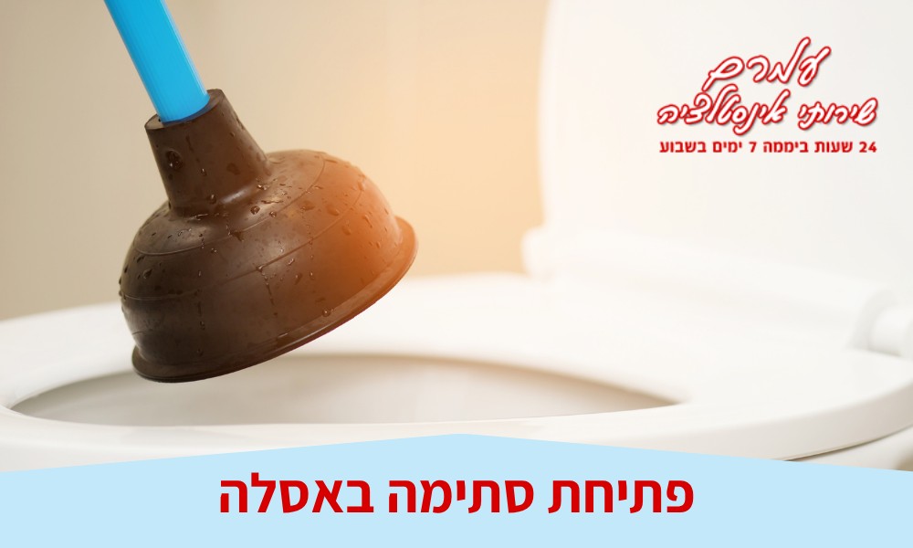 פתיחת סתימה באסלה