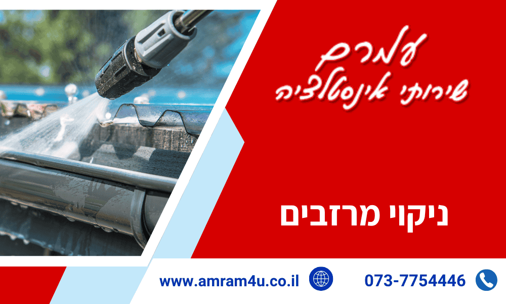 ניקוי מרזבים